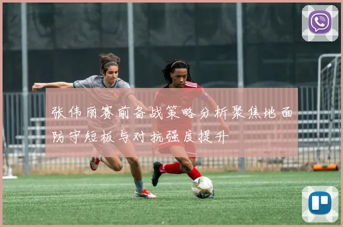 张伟丽赛前备战策略分析聚焦地面防守短板与对抗强度提升